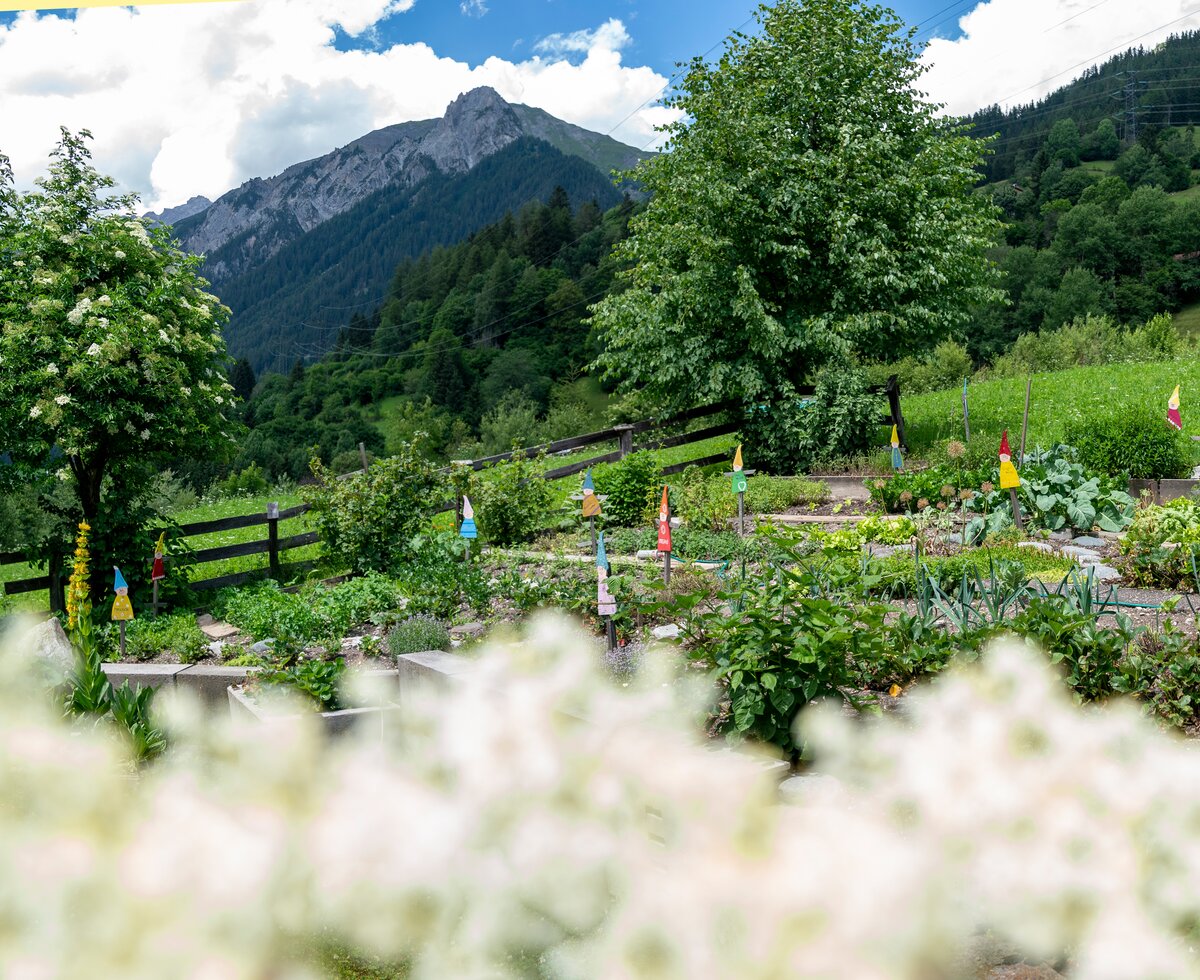 Kräuter am Nadlihof | © Black Tea Fotografie/Viktoria Gstrein Kräuter am Nadlihof | © Black Tea Fotografie/Viktoria Gstrein